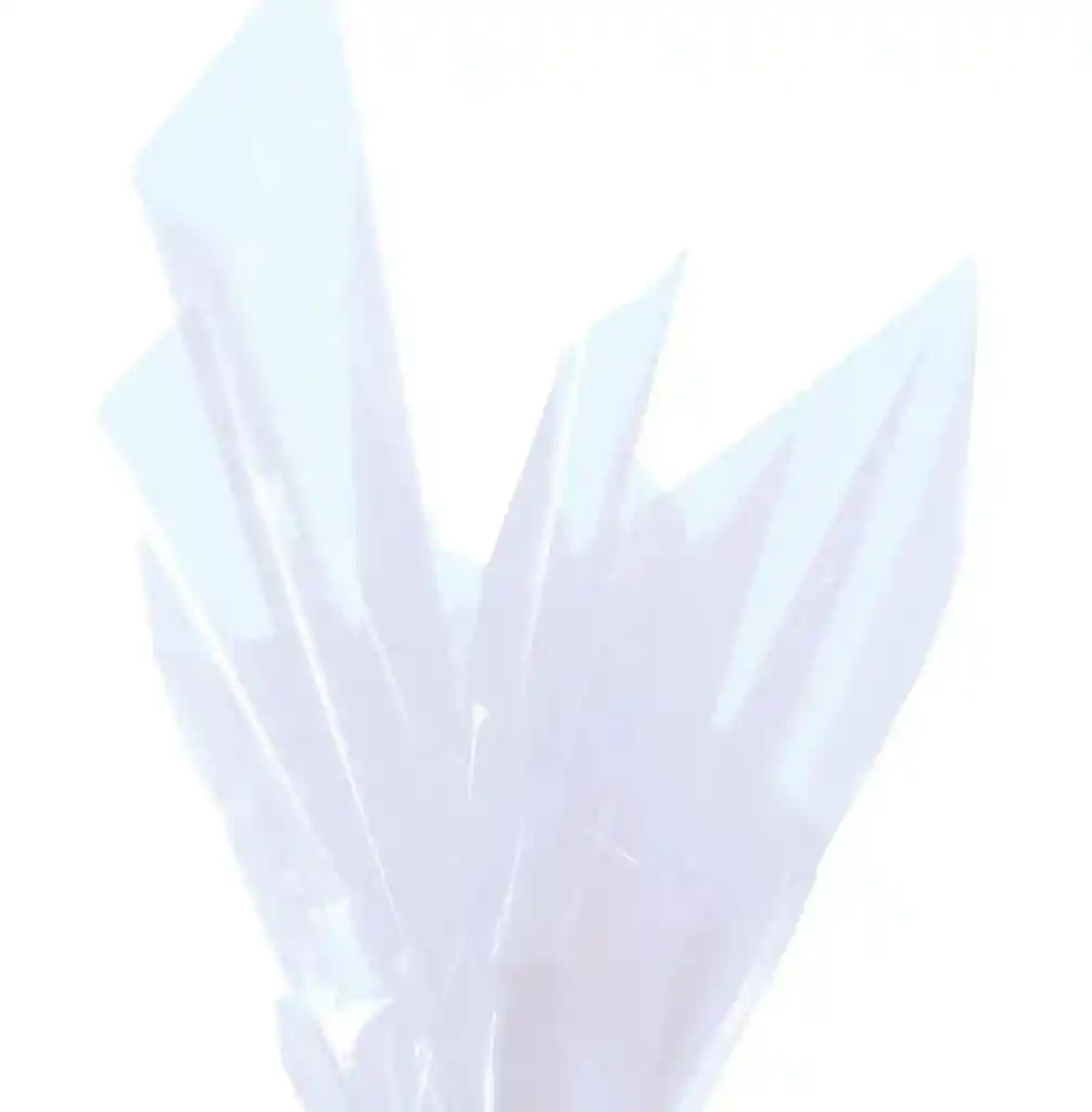 Papel Celofan Transparente X10 Unidades