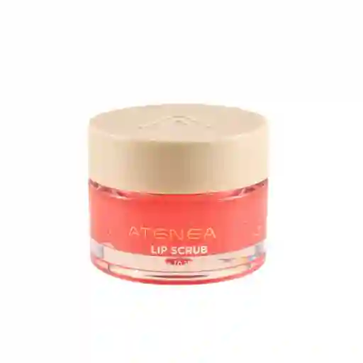Exfoliante Para Labios/lip Scrub Atenea X 10g