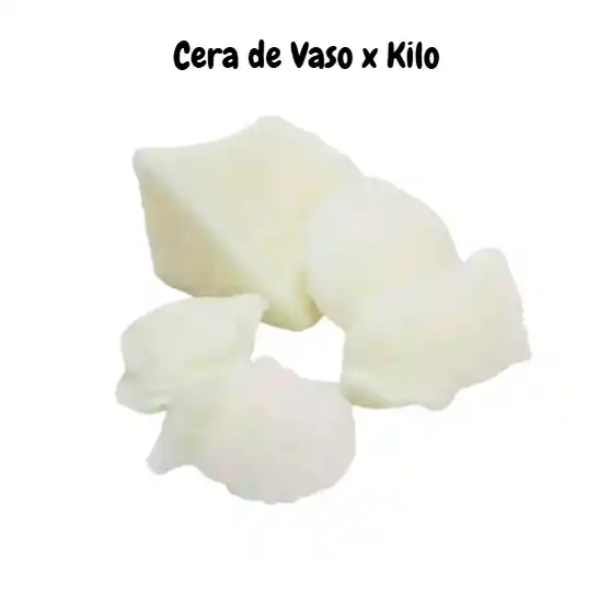 Cera De Palma O Cera De Vaso Para Velas X 1kg