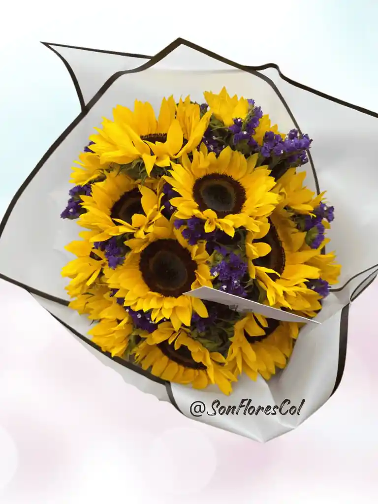 Flores , Girasoles Y Siempre Vivas Lambrussco