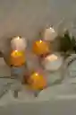 Tinte O Colorante Para Velas Y Parafina Naranja 10gr