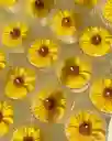 Tinte O Colorante Para Velas Y Parafina Amarillo Neon 10gr