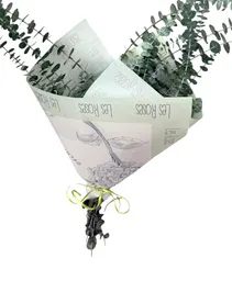 Eucalipto Para Tu Casa