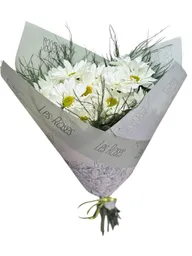 Margaritas Blancas Para Tu Hogar