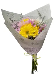 Margaritas Surtidas Para Tu Hogar