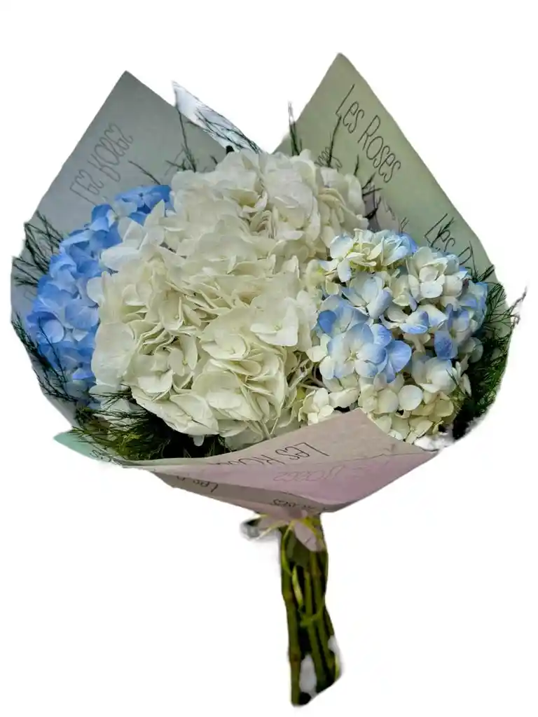 Hortensias Para Tu Hogar