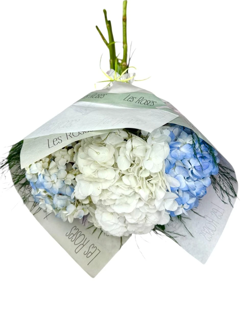 Ramo De Hortensias Azules Y Blancas X4 – Para Tu Hogar — Celebraciones. Arreglo floral de Flores Les Roses con envío a domicilio en Bogotá.