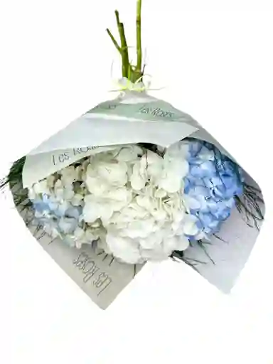 Hortensias Para Tu Hogar