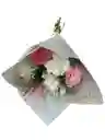 Claveles Blancos Y Rosados Para Tu Hogar