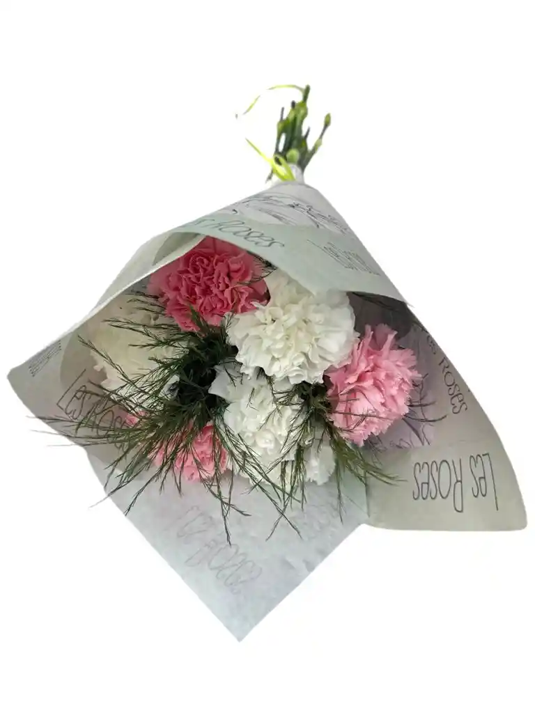 Claveles Blancos Y Rosados Para Tu Hogar