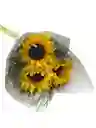 Girasoles Para Tu Hogar