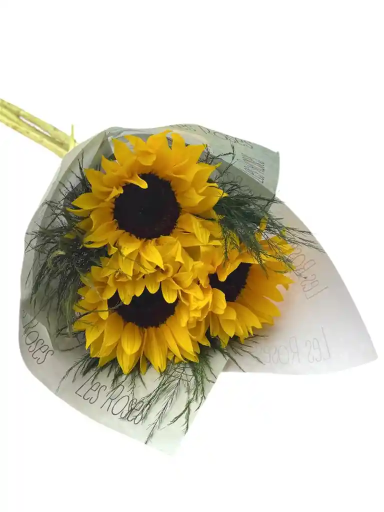 Girasoles Para Tu Hogar