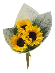 Girasoles Para Tu Hogar