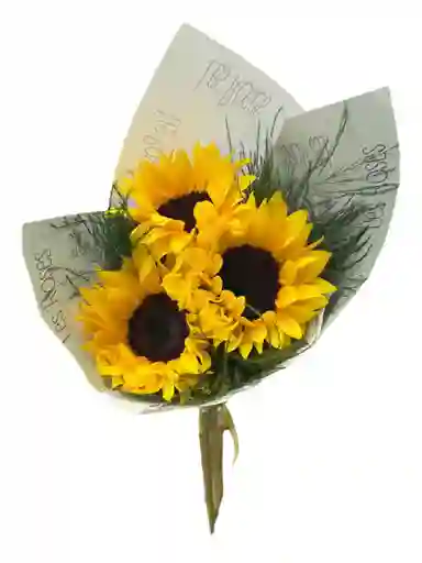 Girasoles Para Tu Hogar