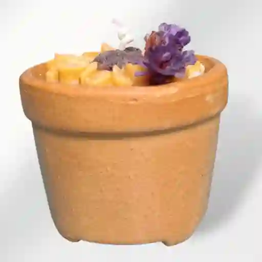 Vela Aromática Girasol