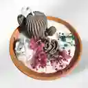 Vela Aromática Cactus Rosas
