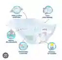 Pañal Winny Etapa 2 (unidad)