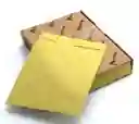 Sobre Manila Carta Paquete X100
