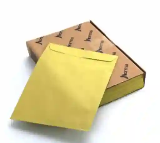 Sobre Manila Carta Paquete X100