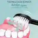 Cepillo Dental Electrico Recargable 6 Velocidades Usb