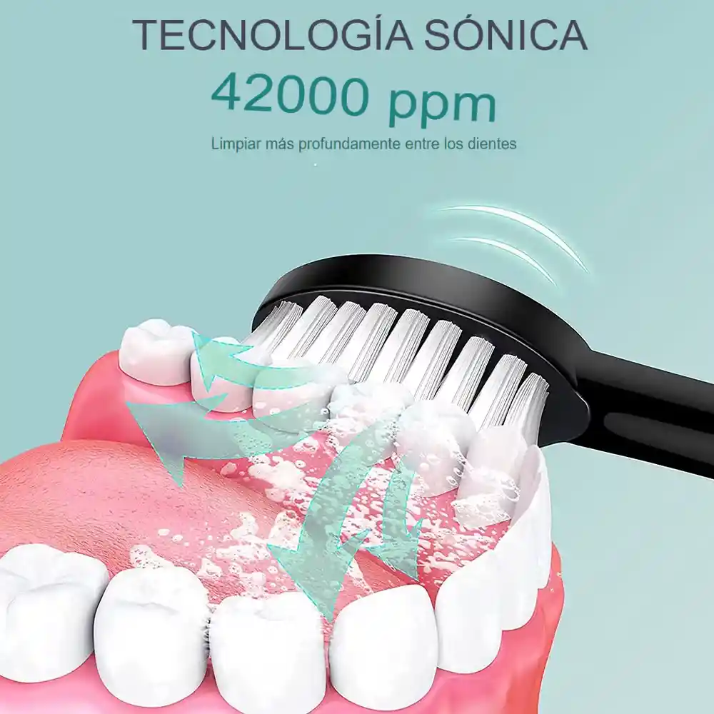 Cepillo Dental Electrico Recargable 6 Velocidades Usb