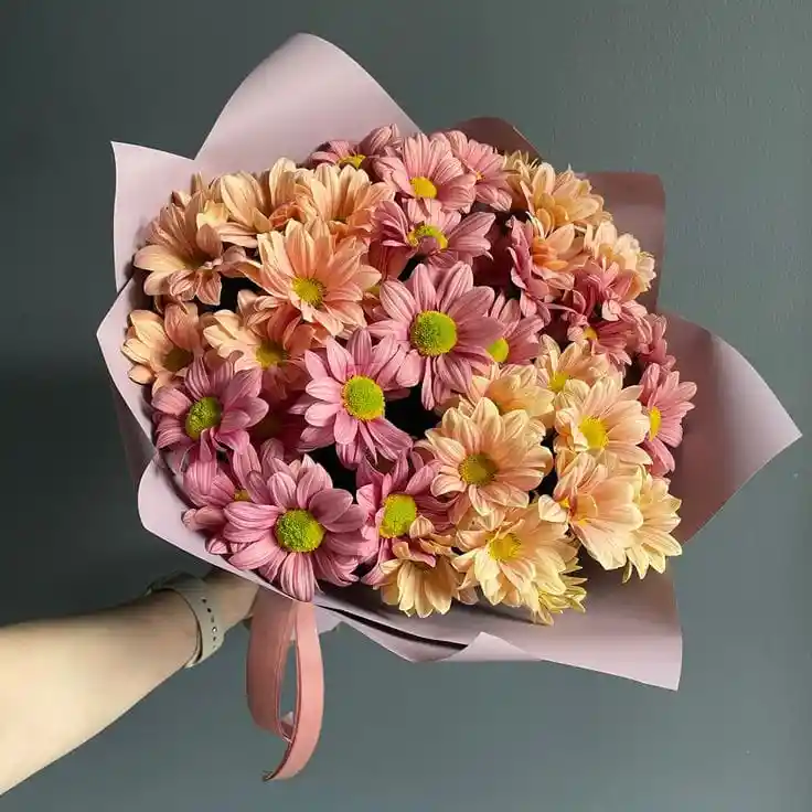 Luz De Otoño
