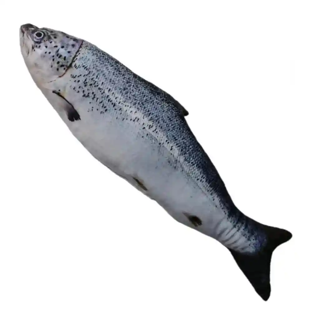 Pescado Con Catnip - Talla L