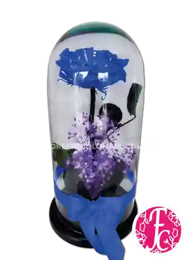 Rosa Preservada Azul