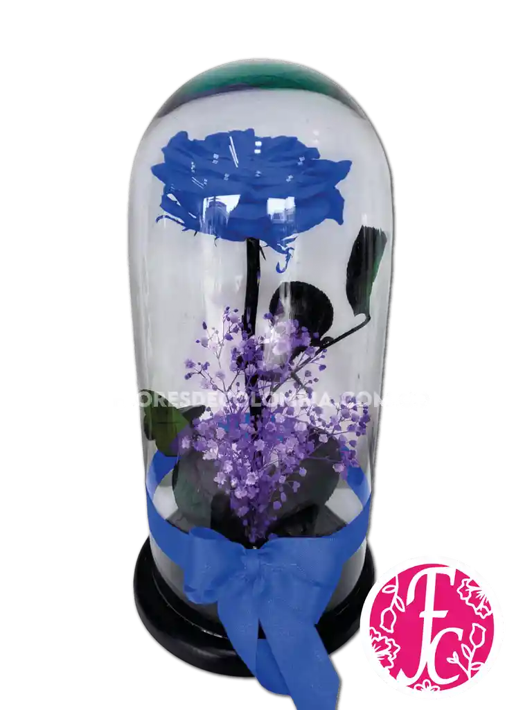 Rosa Preservada Azul