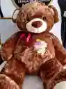 Peluche "oso Gigante"