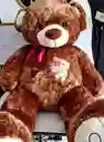 Peluche "oso Gigante"