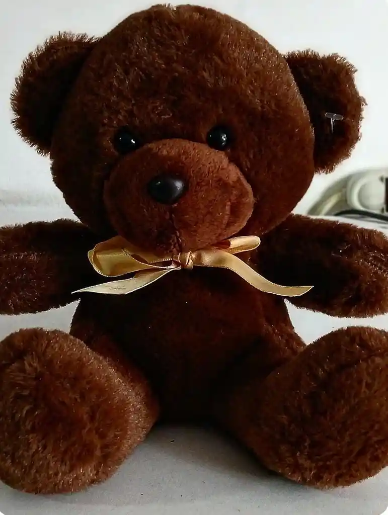 Peluche "osito Moño Marrón"