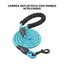 Recogedor Popo Perros + Correa + Porta Bolsa + 5 Rollos Bolsas Combo 4 En 1