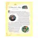 Libro Didáctico Infantil 101 Cuentos Clásicos Para Niños