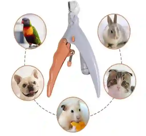 Corta Uñas Para Mascotas Con Luz Led Tijera