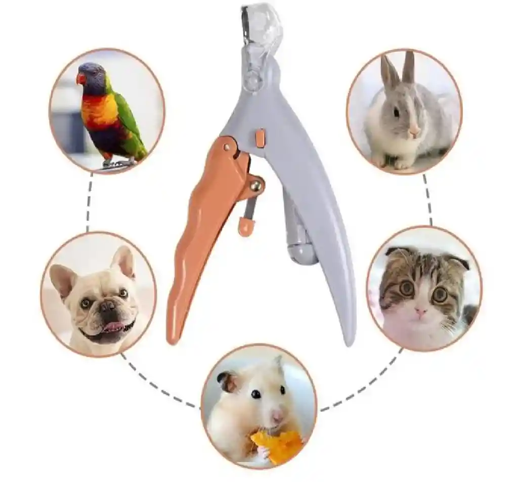 Corta Uñas Para Mascotas Con Luz Led Tijera