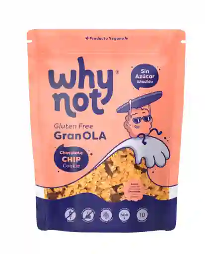 Granola Chocolate Chip Cookie Why Not 300 Gr
