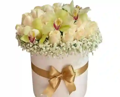 Caja Rosas Y Orquideas Tipo Cilindro