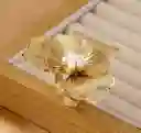 Anillo Reina Dorada