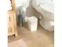 Papelero Bas Plast 5l