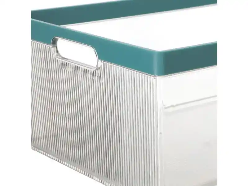 Caja Org Despensa 12l