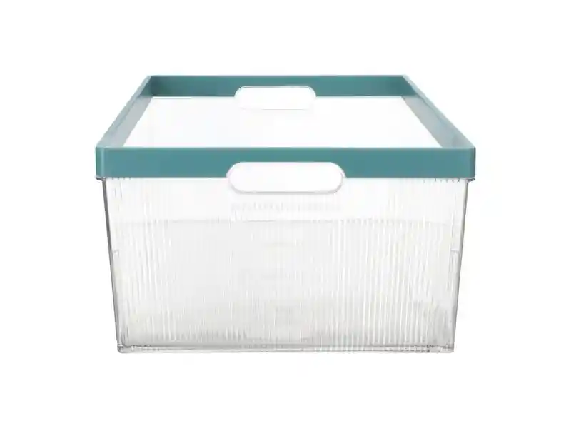 Caja Org Despensa 12l