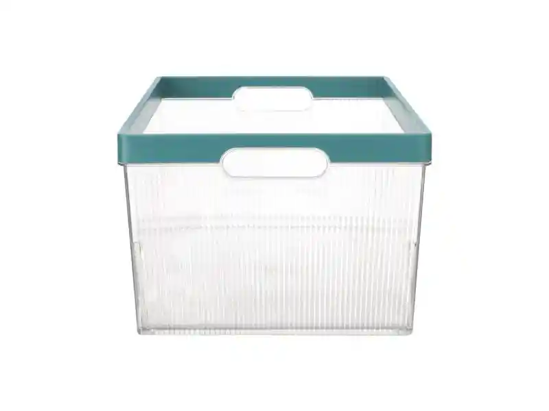 Caja Org Despensa 8l