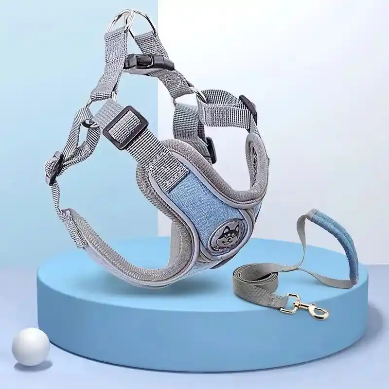 Correa Y Pechera Premium - Talla L Pecho 60x72cm