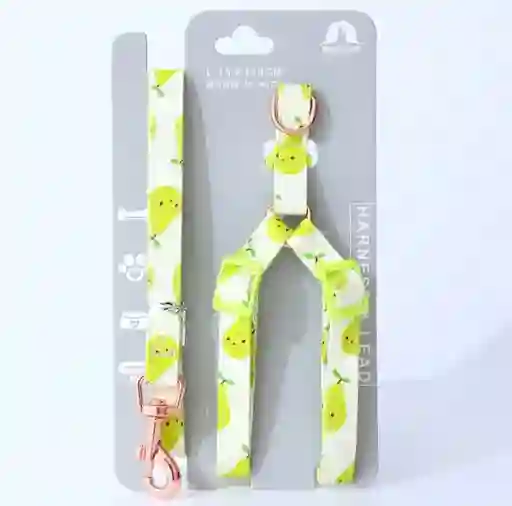 Arnés Y Traílla Sweet Fruits Talla M Modelos Surtidos
