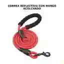Kit Paseo Para Perros 4 En 1 Correa + Recogedor + Porta Bolsas + 5 Rollos De Bolsas