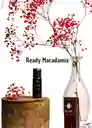 Ready Lubricante