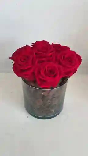 Happy Rosas Rojas