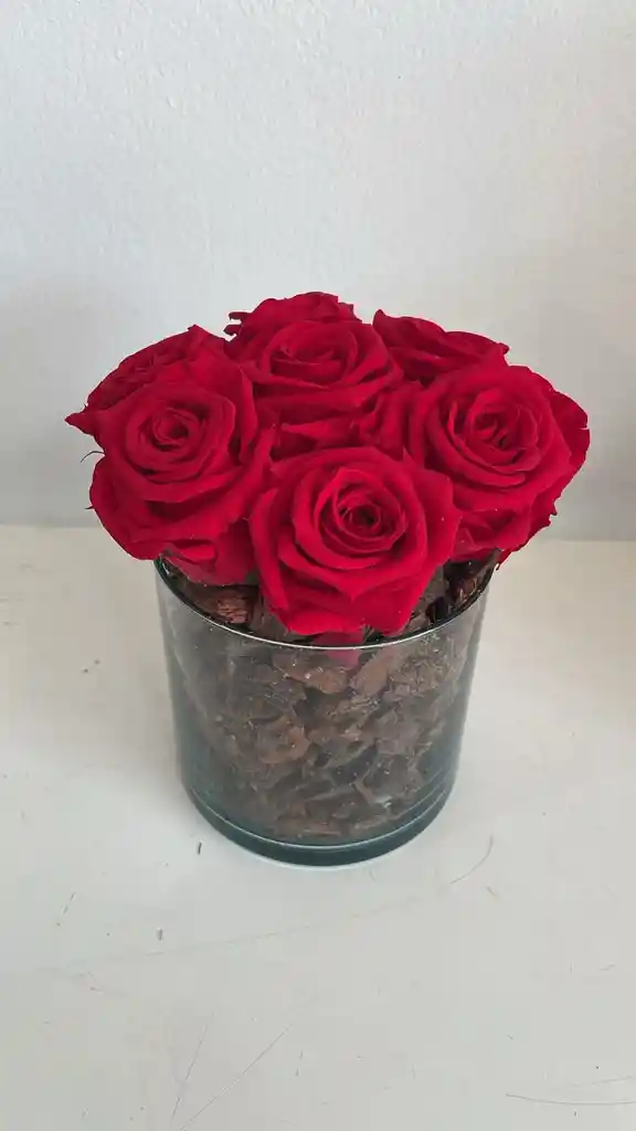 Happy Rosas Rojas