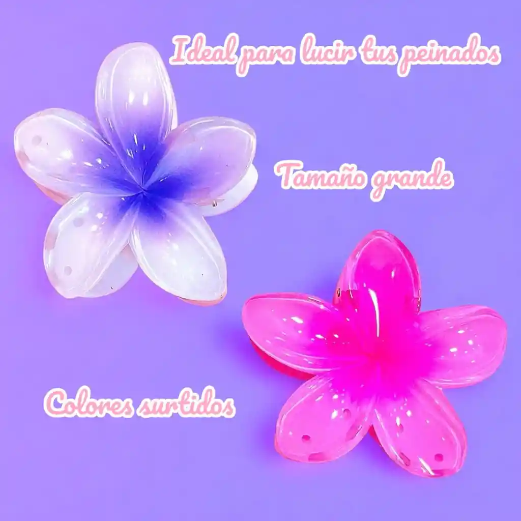 Caiman Flores